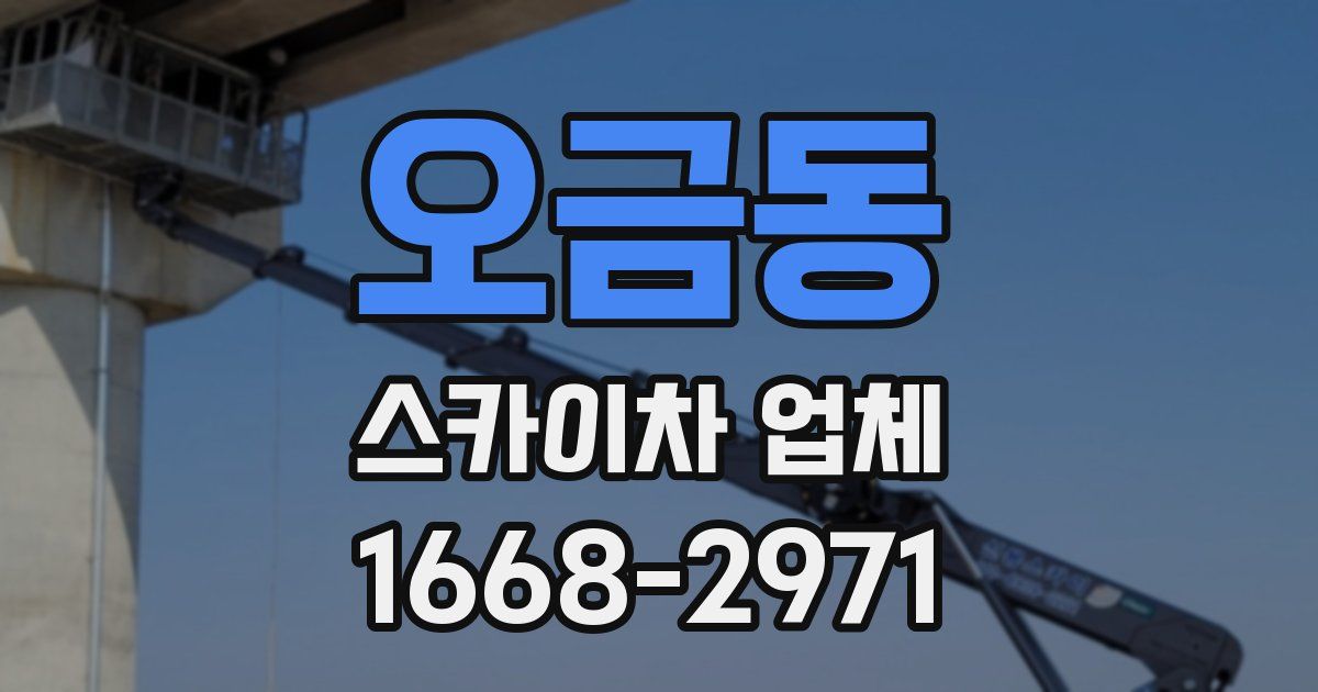 오금동 스카이차 업체