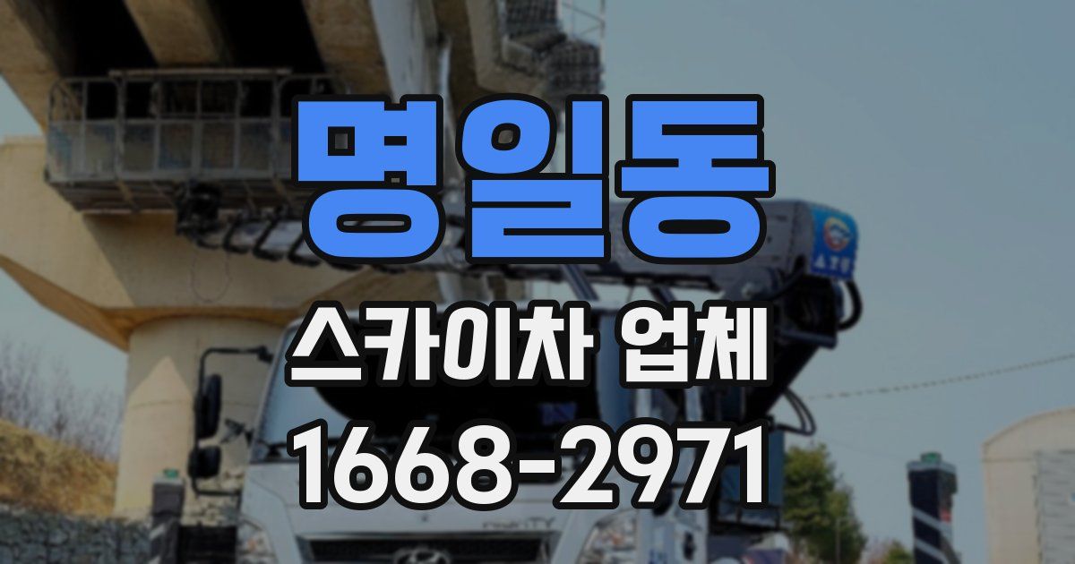 명일동 스카이차 업체