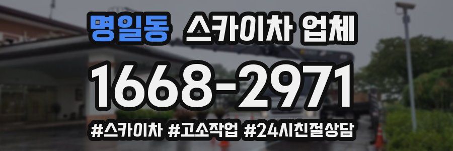 명일동 스카이차 업체