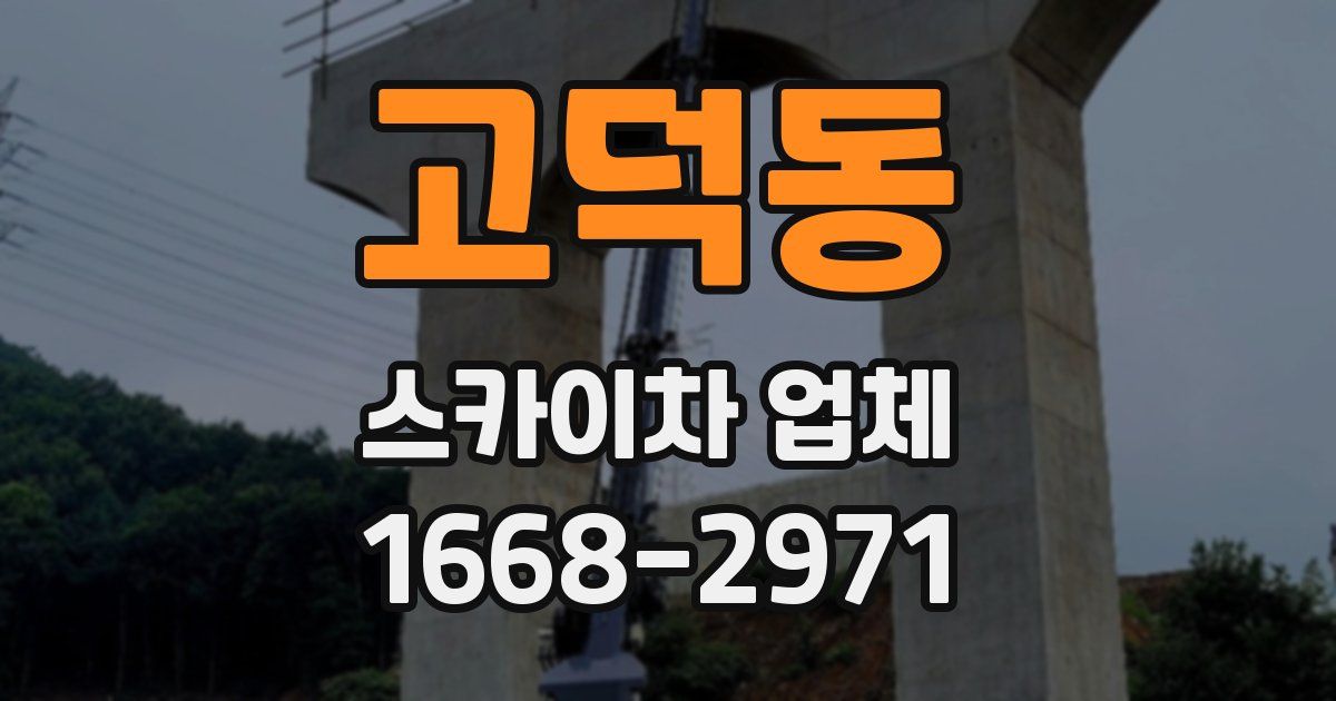 고덕동 스카이차 업체