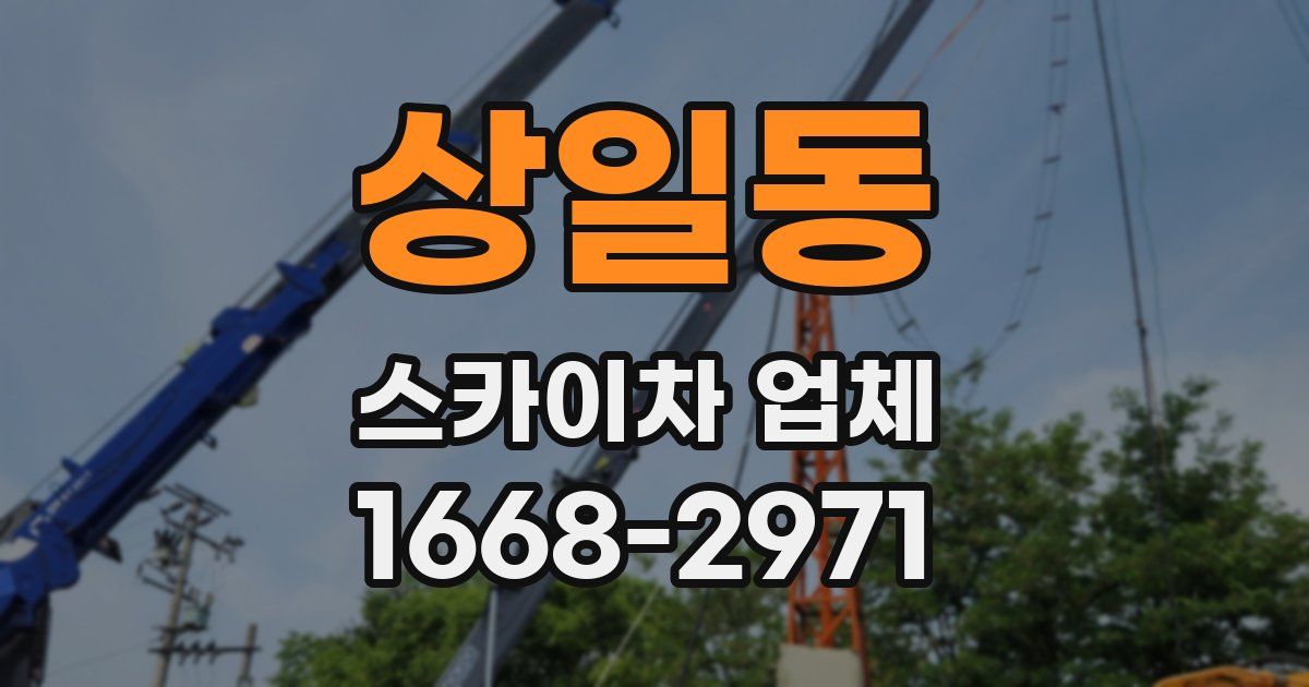 상일동 스카이차 업체