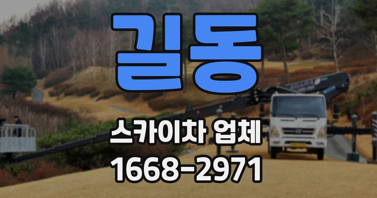 길동 스카이차 업체