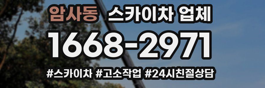 암사동 스카이차 업체