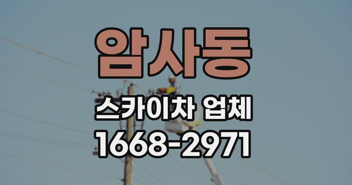 암사동 스카이차 업체