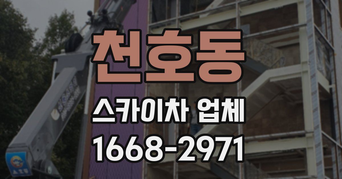 천호동 스카이차 업체