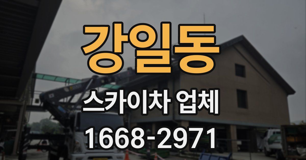 강일동 스카이차 업체