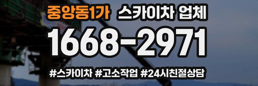 중앙동1가 스카이차 업체