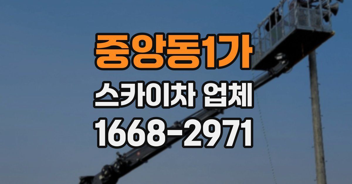 중앙동1가 스카이차 업체