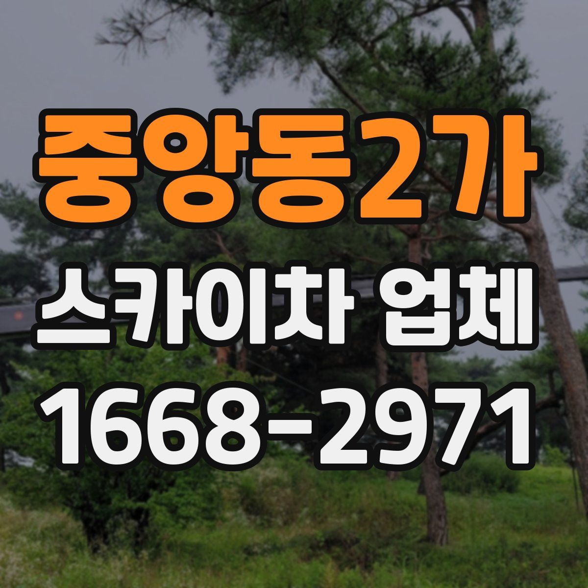 중앙동2가 스카이차 업체