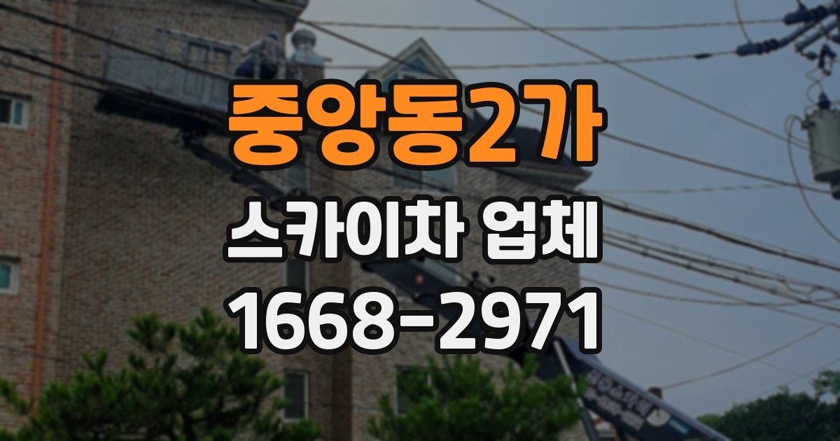 중앙동2가 스카이차 업체