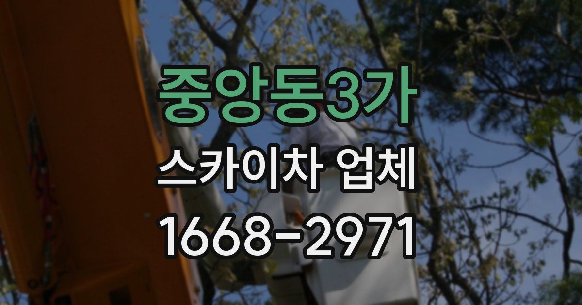 중앙동3가 스카이차 업체