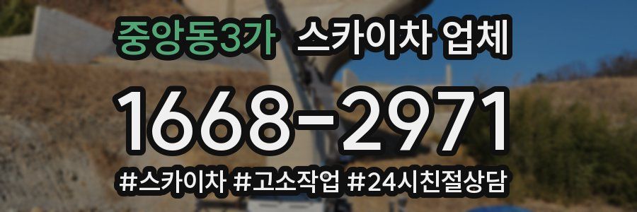 중앙동3가 스카이차 업체