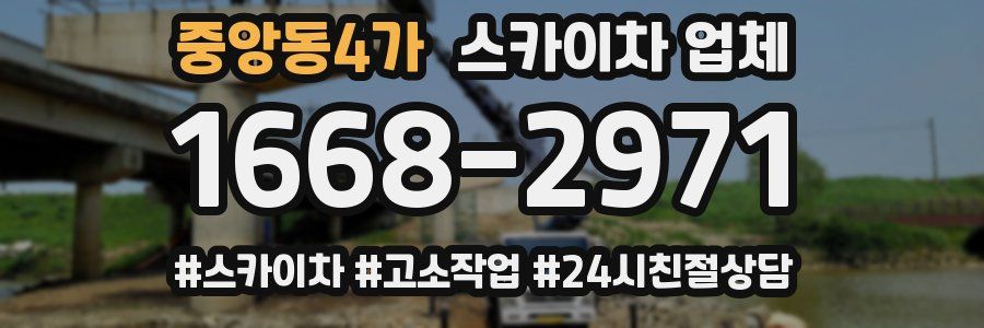 중앙동4가 스카이차 업체
