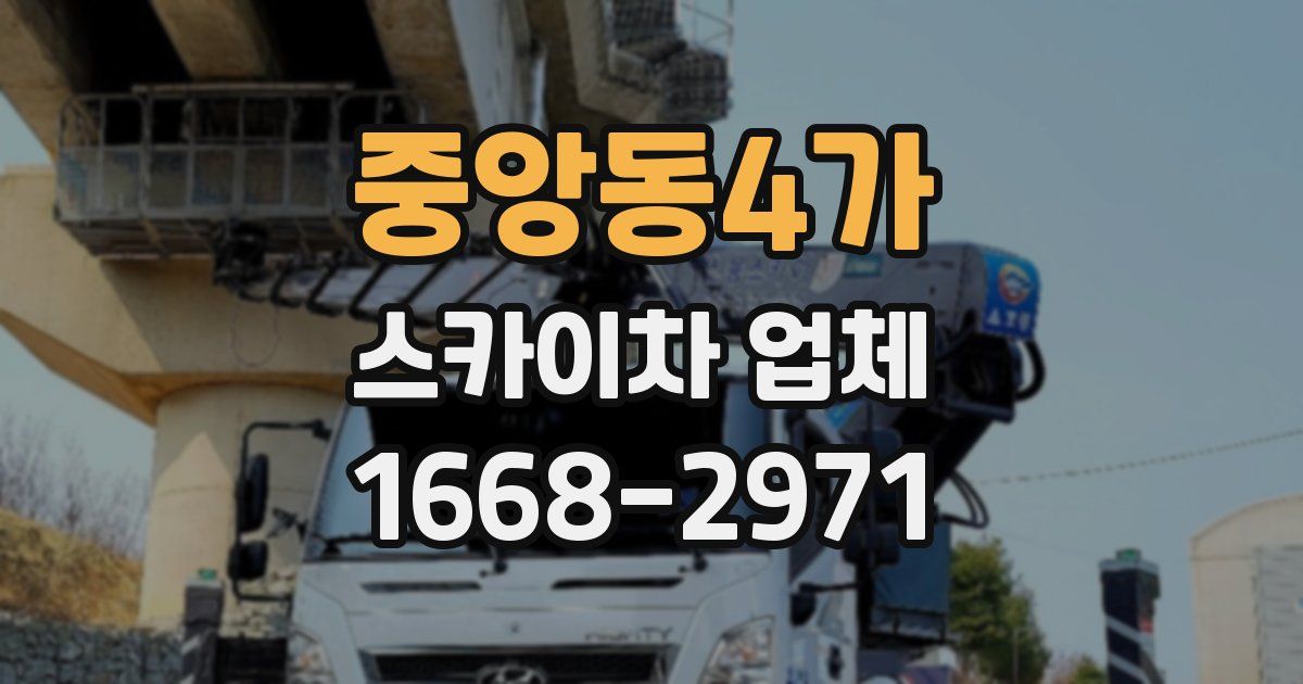중앙동4가 스카이차 업체