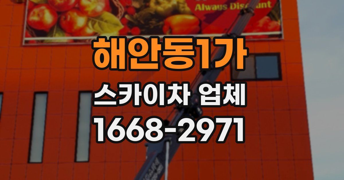 해안동1가 스카이차 업체