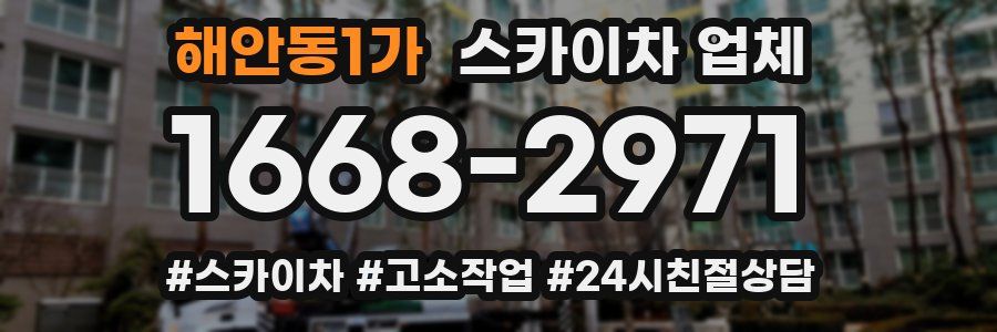해안동1가 스카이차 업체