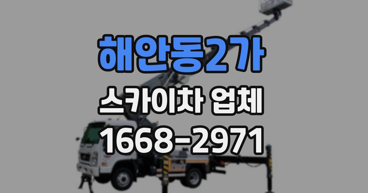 해안동2가 스카이차 업체