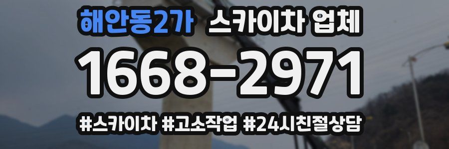해안동2가 스카이차 업체