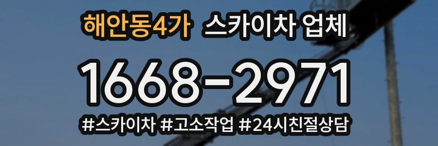 해안동4가 스카이차 업체