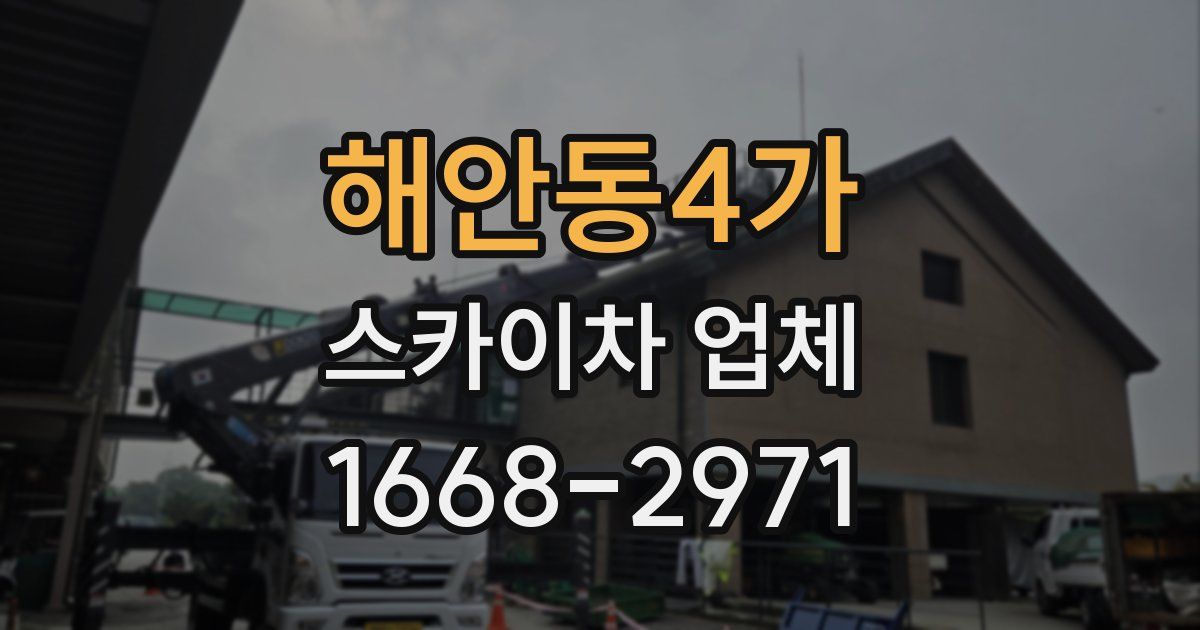 해안동4가 스카이차 업체
