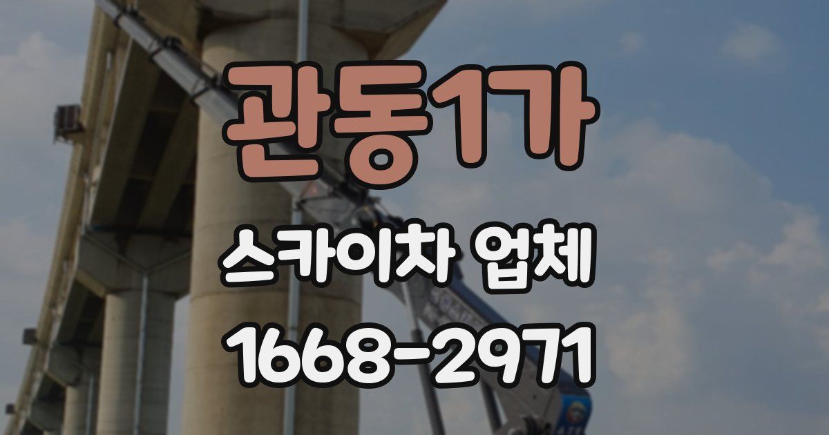 관동1가 스카이차 업체