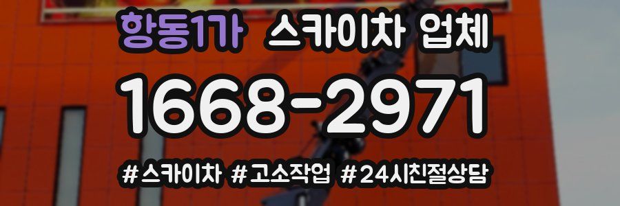 항동1가 스카이차 업체