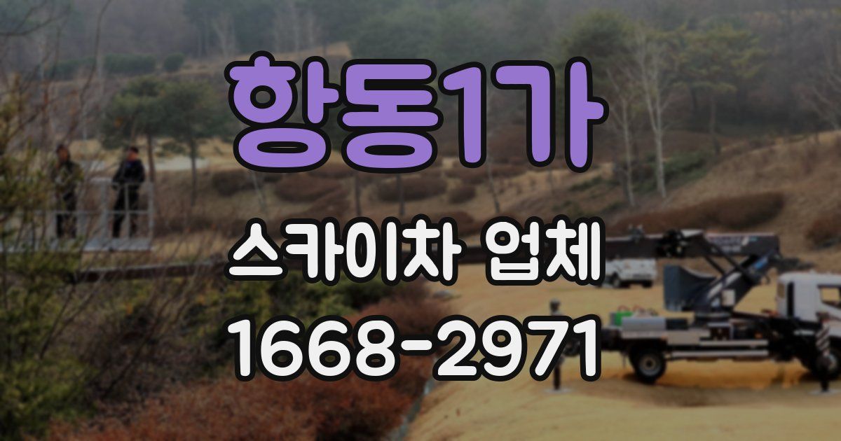 항동1가 스카이차 업체