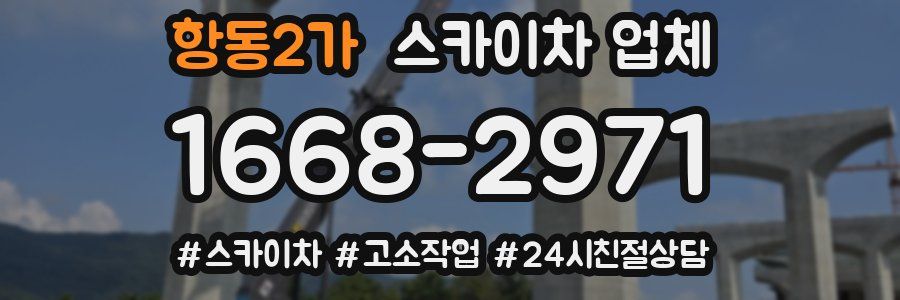 항동2가 스카이차 업체