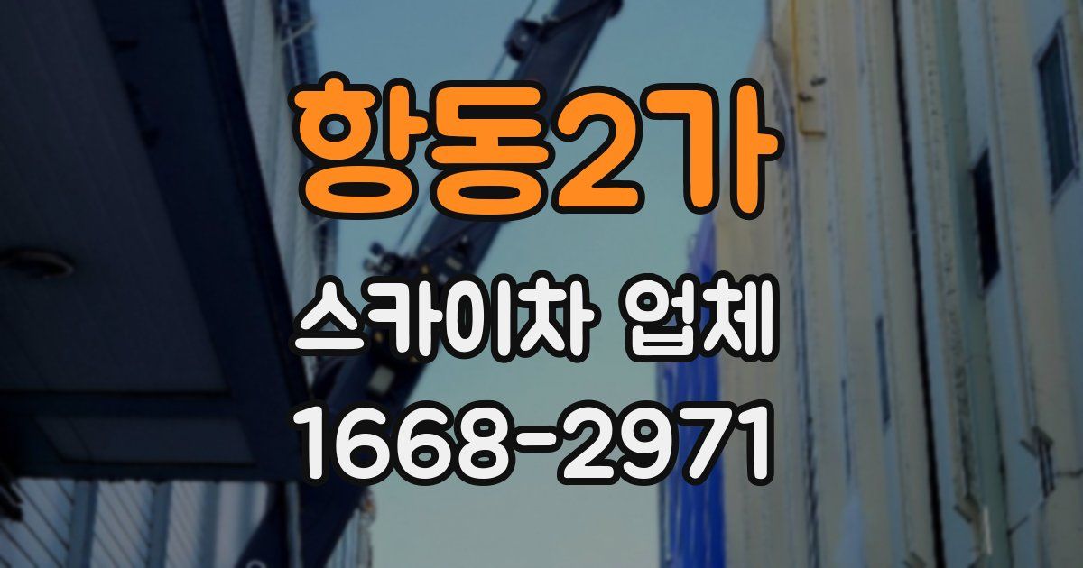 항동2가 스카이차 업체