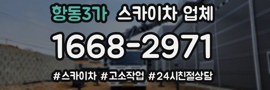 항동3가 스카이차 업체