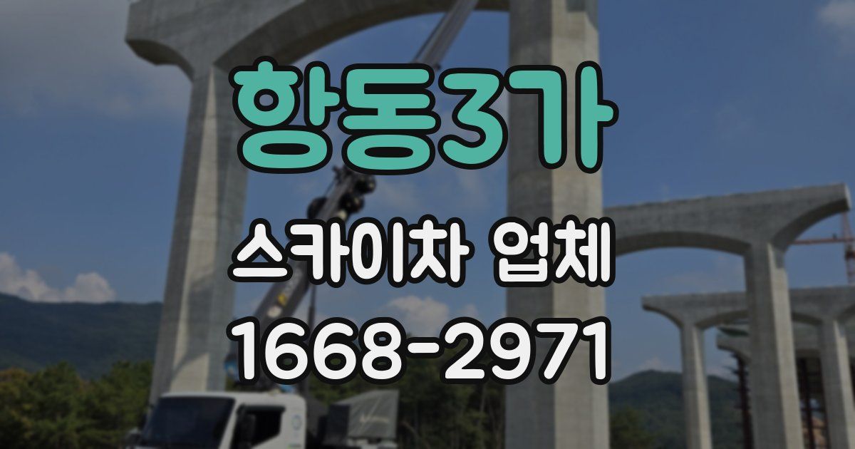 항동3가 스카이차 업체