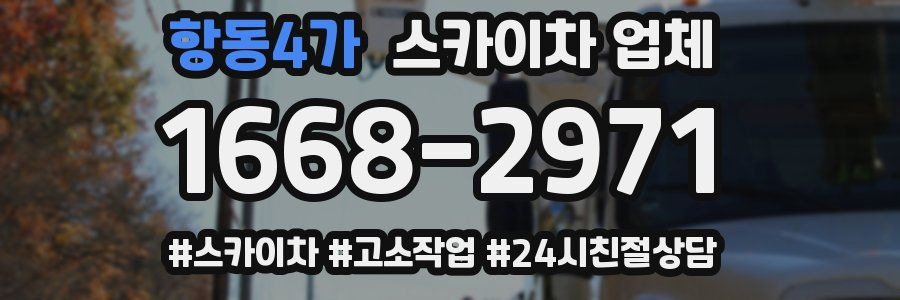 항동4가 스카이차 업체