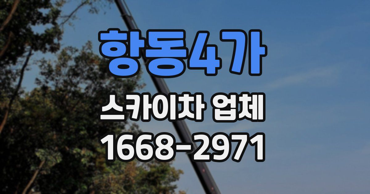 항동4가 스카이차 업체