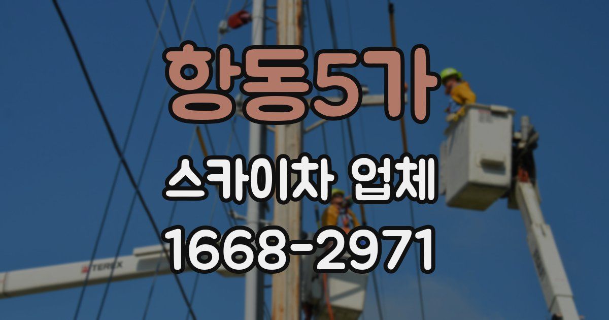 항동5가 스카이차 업체