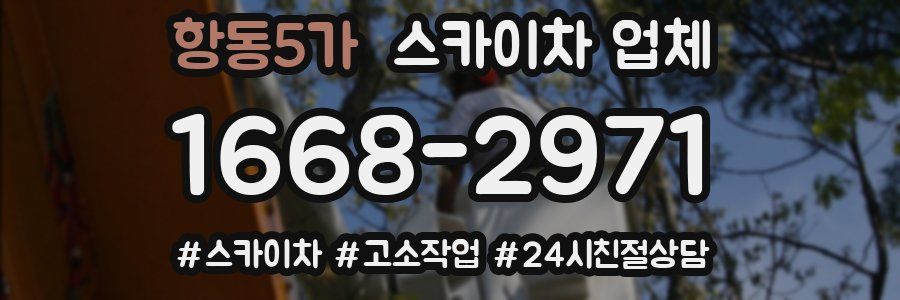 항동5가 스카이차 업체