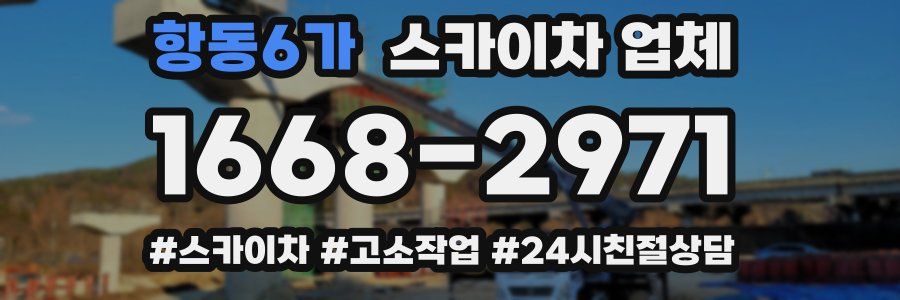 항동6가 스카이차 업체