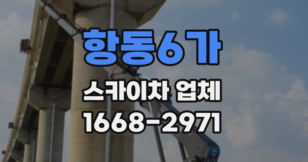 항동6가 스카이차 업체