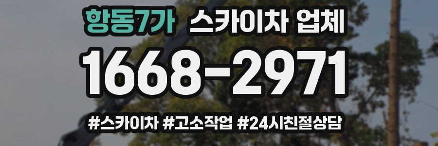 항동7가 스카이차 업체