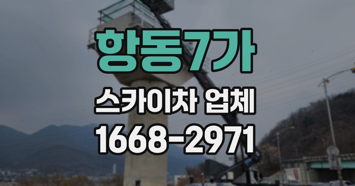 항동7가 스카이차 업체