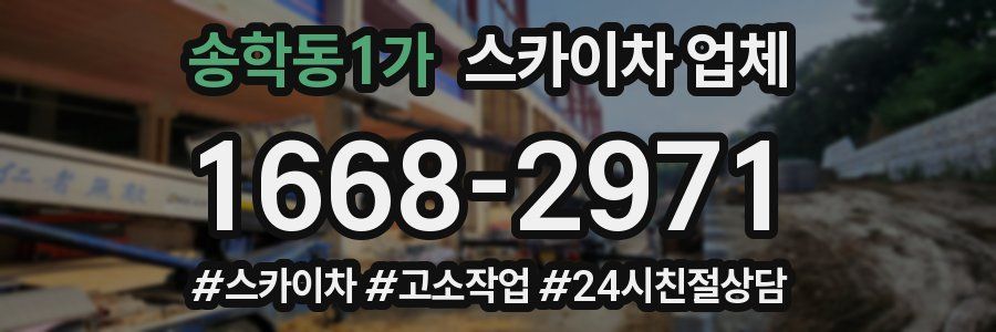 송학동1가 스카이차 업체
