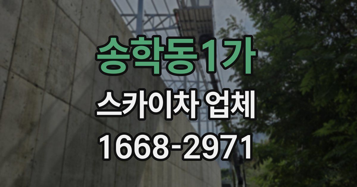 송학동1가 스카이차 업체