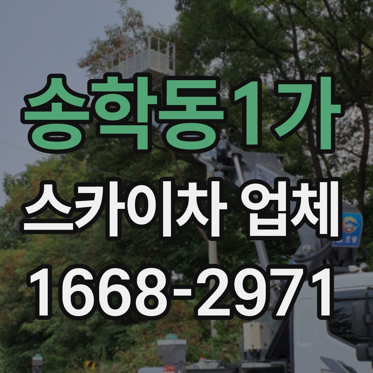 송학동1가 스카이차 업체