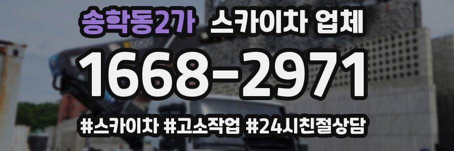 송학동2가 스카이차 업체