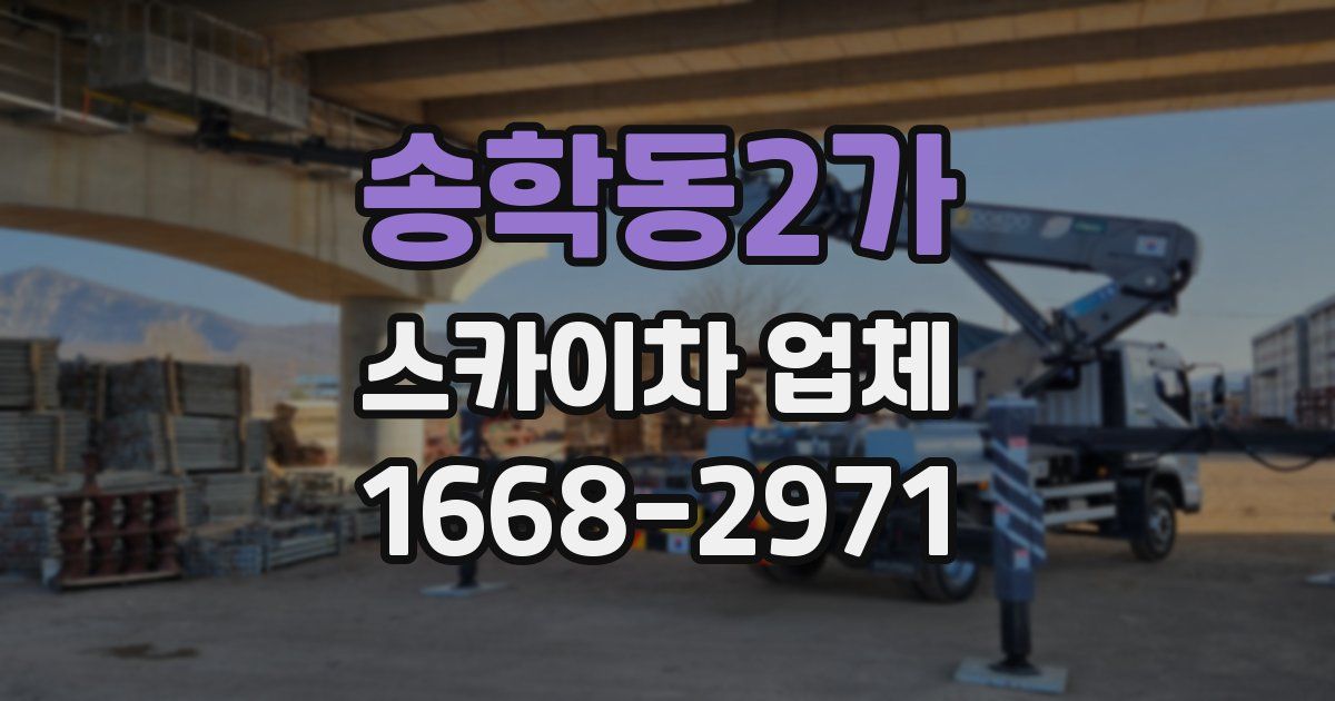 송학동2가 스카이차 업체