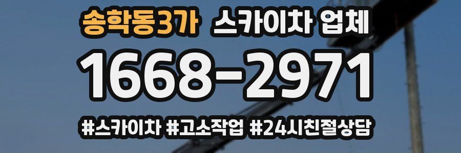 송학동3가 스카이차 업체