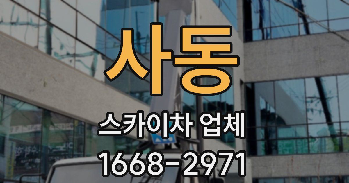 사동 스카이차 업체