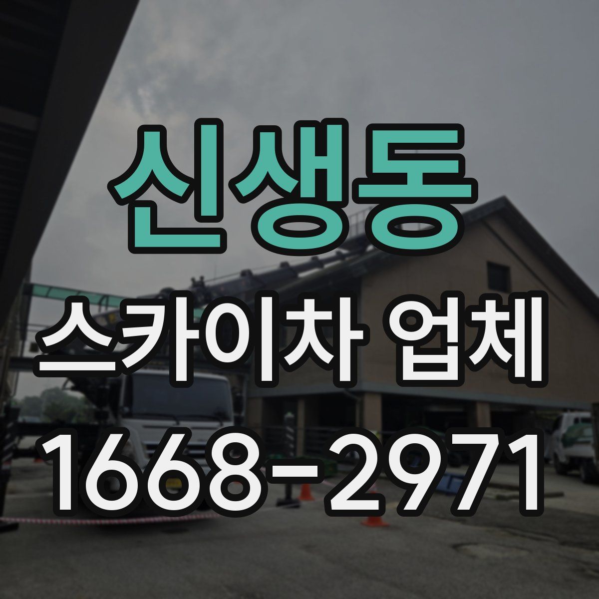 신생동 스카이차 업체