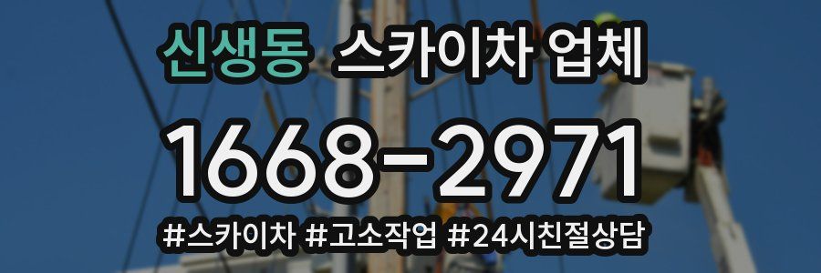 신생동 스카이차 업체