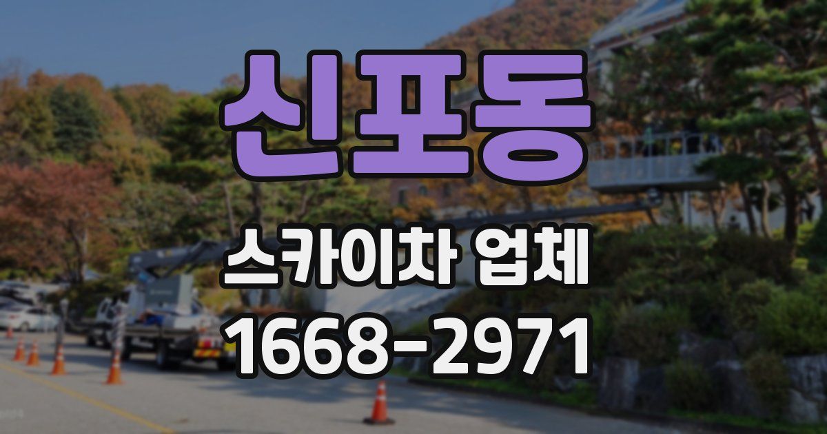 신포동 스카이차 업체
