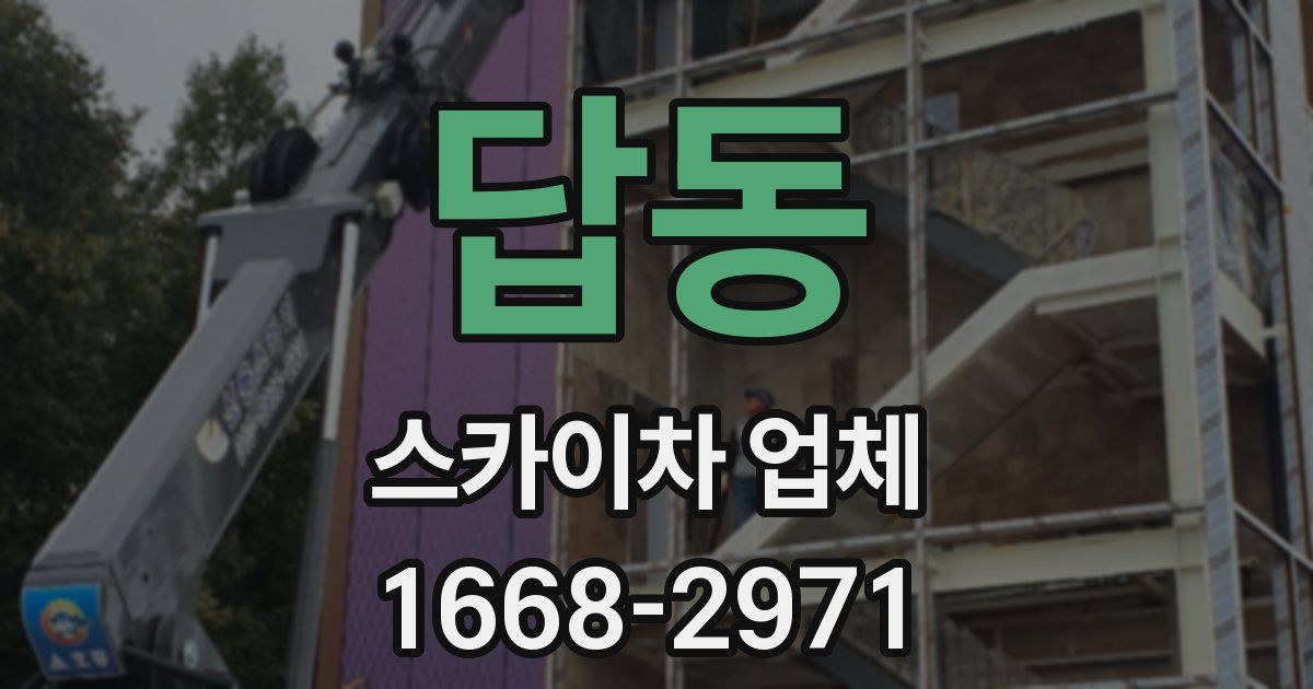답동 스카이차 업체